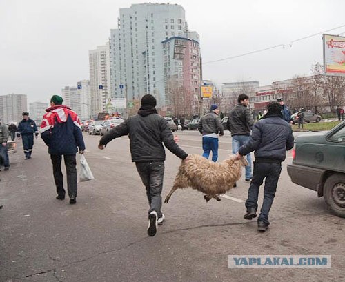 Рождества в Европе не будет