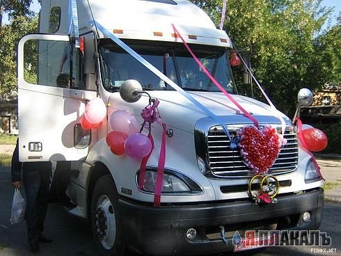 Свадьба, женихи и невесты