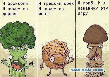 Весёлые картинки