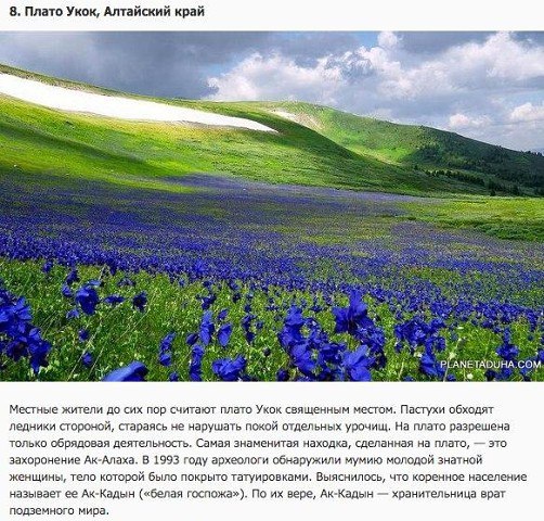 Картинки разные