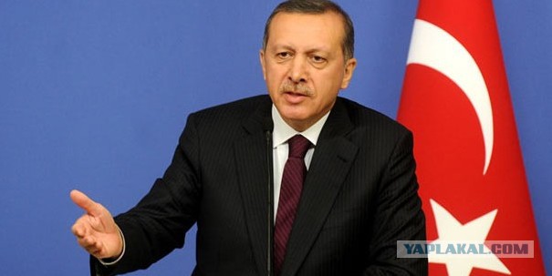 Президент Турции извинился перед Путиным за сбитый Су-24
