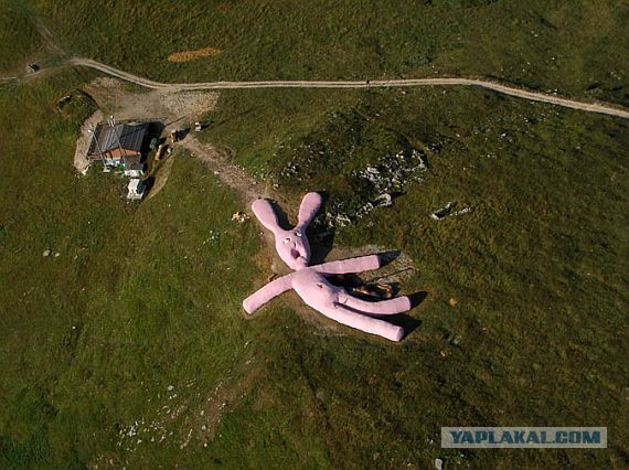 Объект на картах Гугл