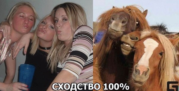 Ужасы и приколы из соцсетей 18+