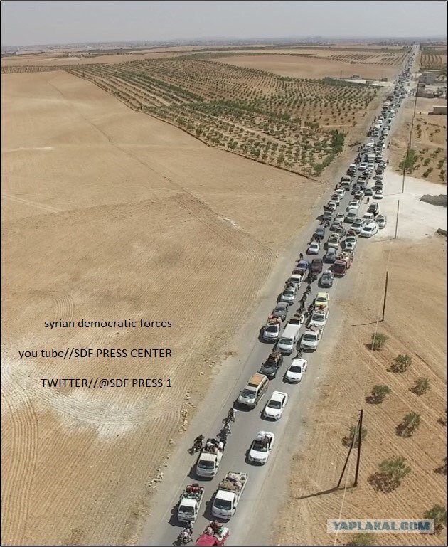 CNN: Россия нанесла первый авиаудар в Сирии