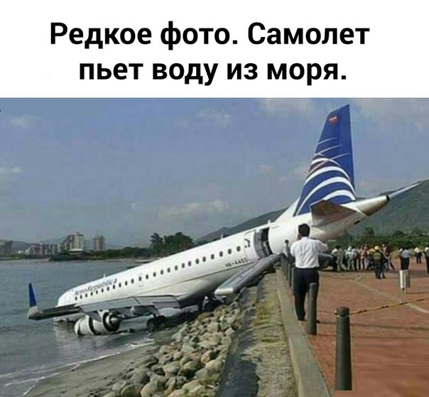 Сборище абсурда