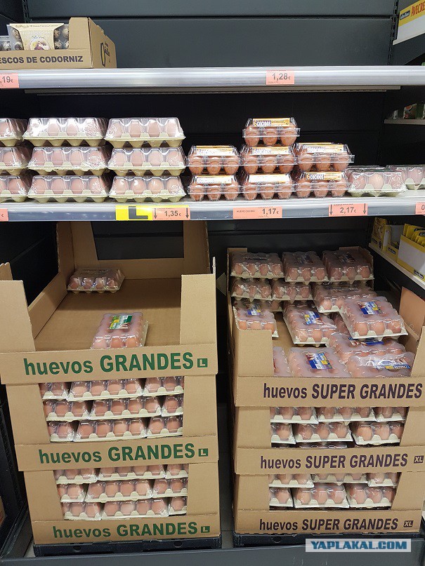 Настоящая Испания изнутри: экономим на продуктах питания, как можем