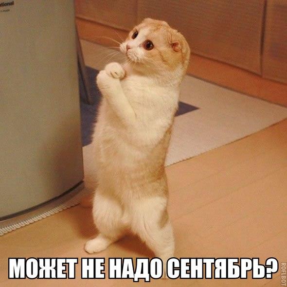 Подборка интересных и веселых картинок