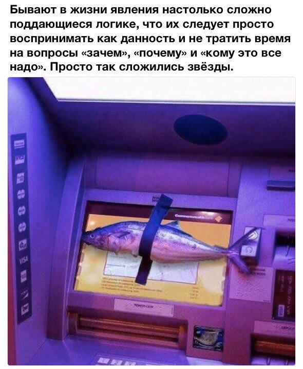 Просто юмор 13