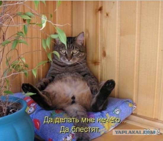 Опыты с неодимовым магнитом