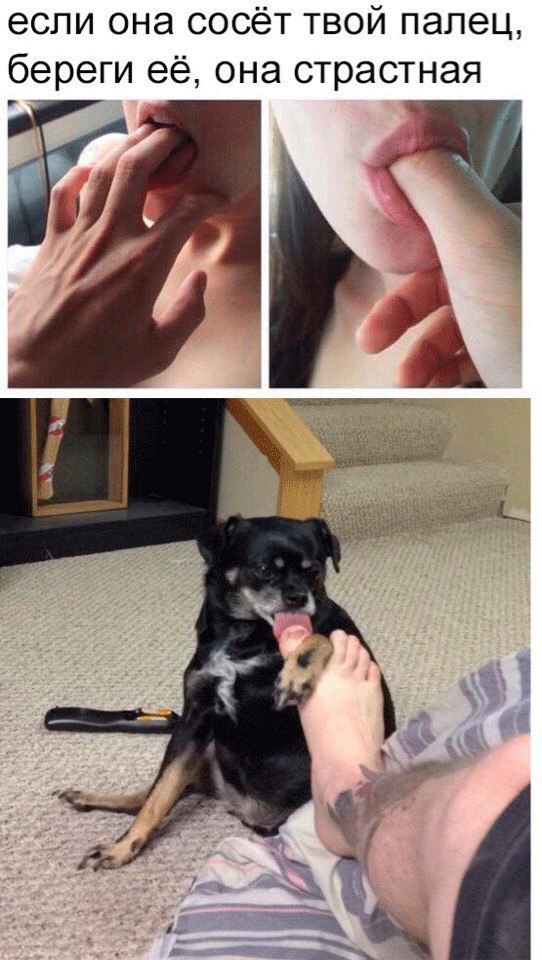 Субботняя вакханалия с большой дозой идиотизма