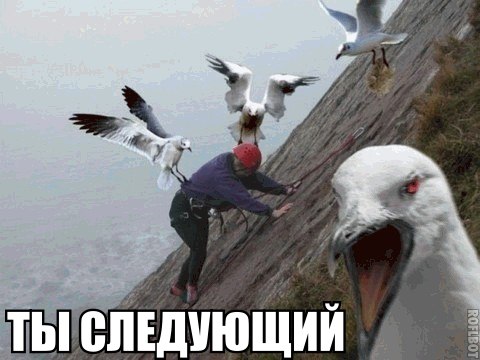 Москвичи подарили дочери-выпускнице Аston Martin за 26 млн на окончание школы