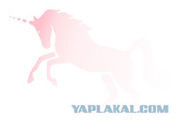 Какова твоя ВЕРА?