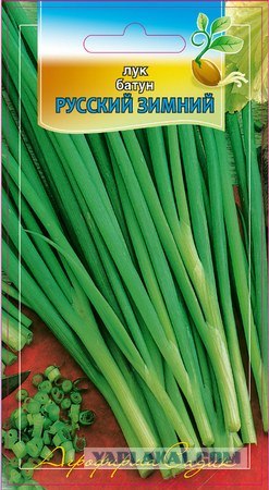 Обзор зимних луков