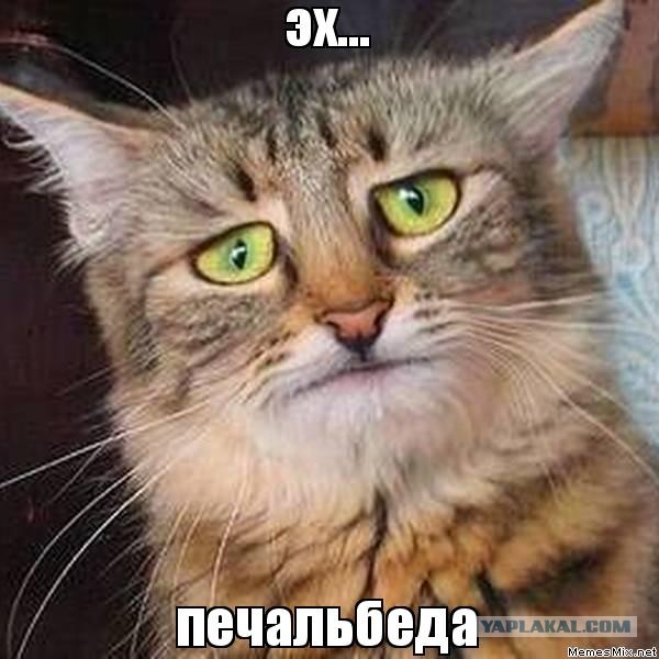 Юность цвета хаки