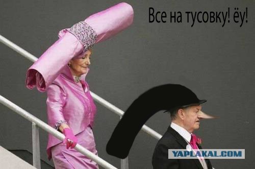 Аристократы