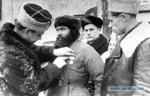 С дороги — быдло!