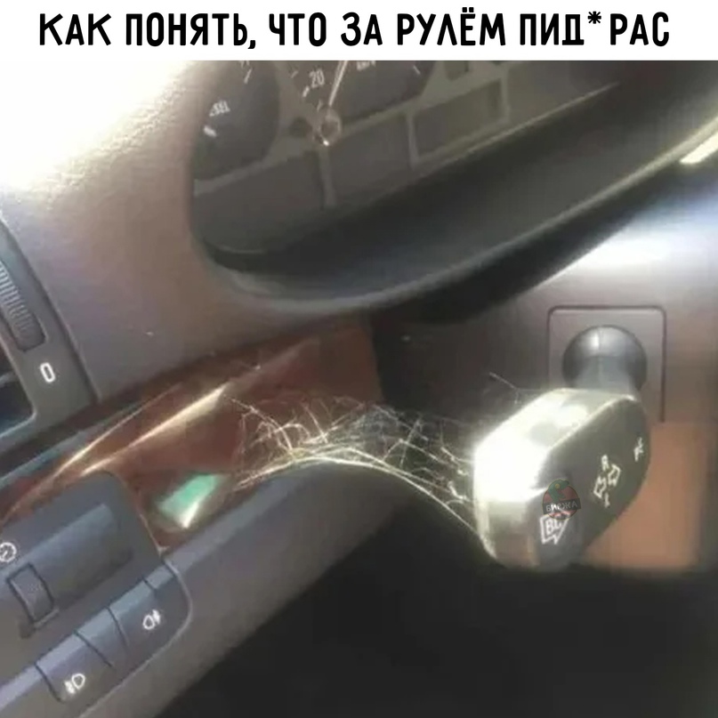 15774737.jpg