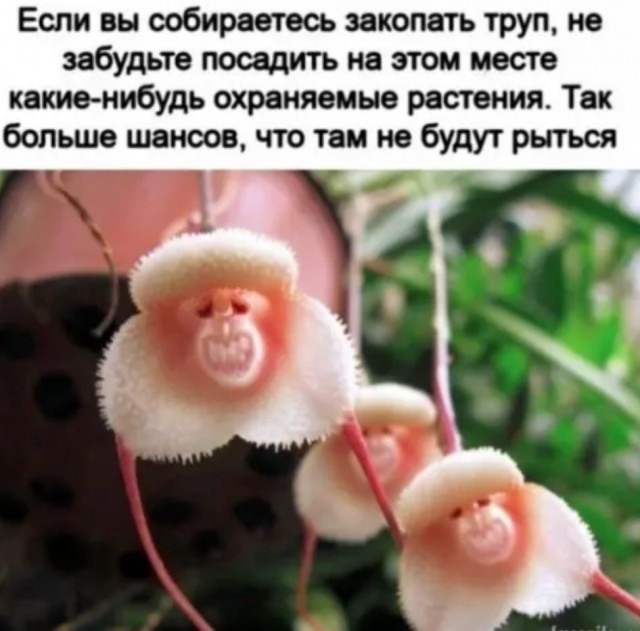 Так себе картинки 09.04.22
