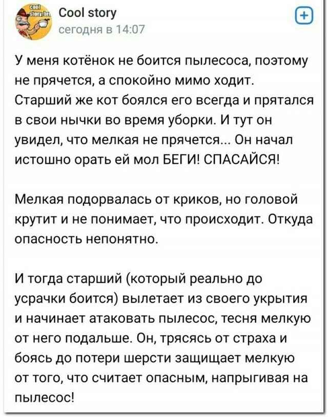 Забавные комментарии из социальных сетей (16.05.22)