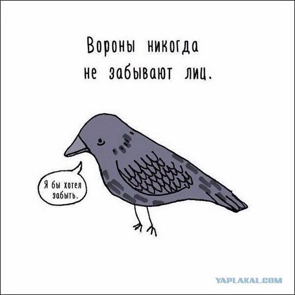 Чуток картNнок в понедельник