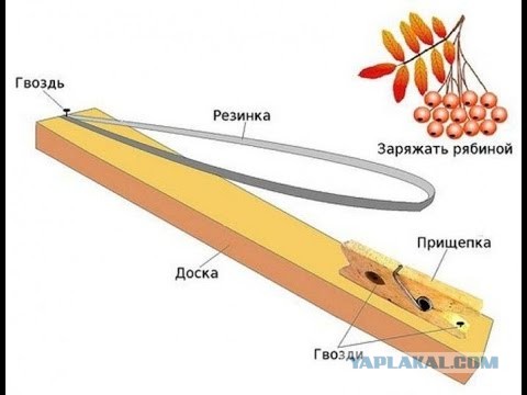Сильно не плачь... Когда-то у тебя были детство и молодость!