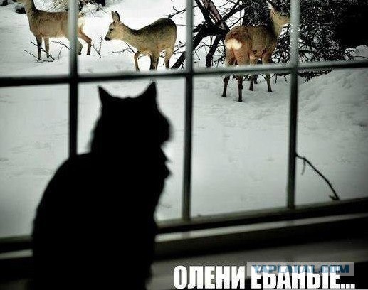 Массированный удар наносится по Украине: ракеты и дроны летят над страной к целям в центре и на западе страны