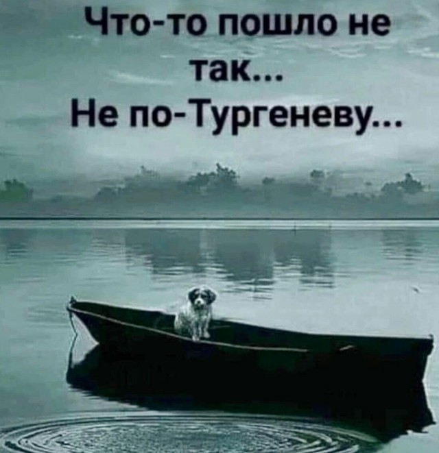 Весёлый полтишок 20.10.22