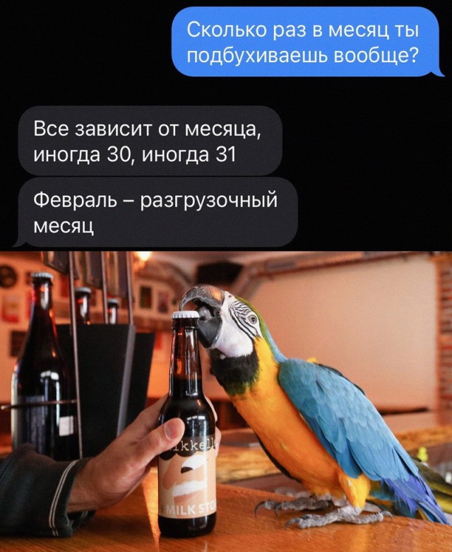 Алкопост 12.11.22