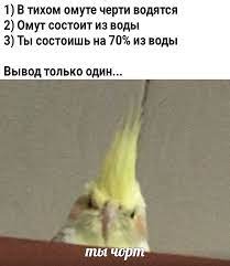 9 фактов про воду