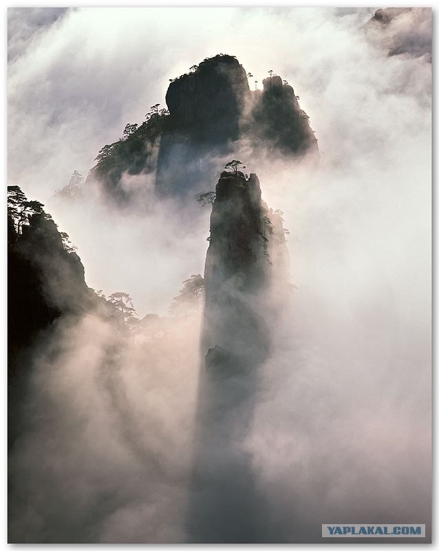 Фотограф Leping Zha