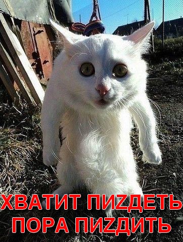 Не провоцируй  животных
