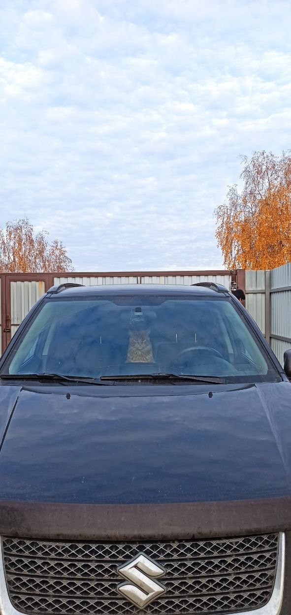 Осенняя рыжесть