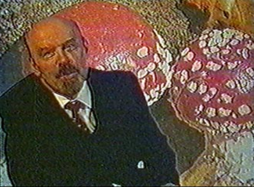 Псилоцин замедляет старение