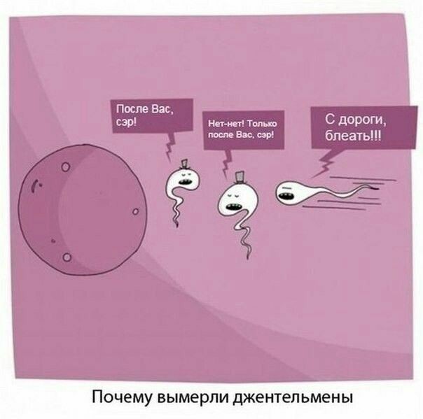 Куча мала 3