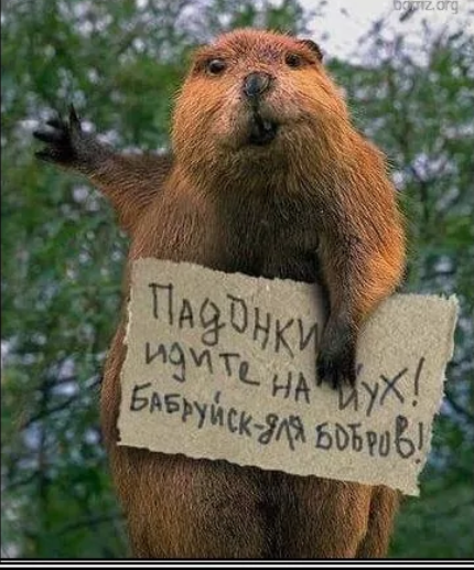 Дегрономикон 9