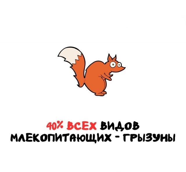 Интересные и короткие факты на все случаи жизни 05.01.26