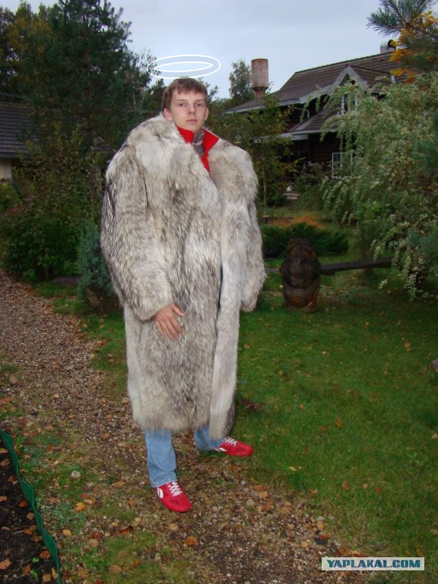 Никогда