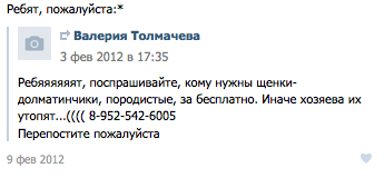 10 способов отличить обман в интернете от просьбы