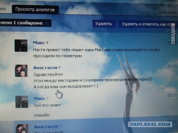 Смешные комментарии из социальных сетей