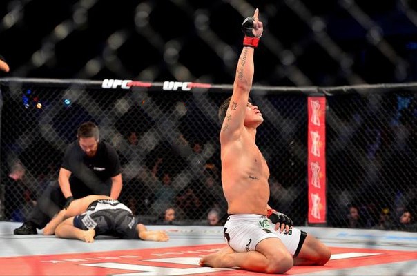 БОКС/MMA....