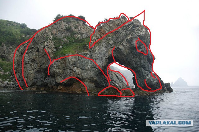 Природа Приморского края