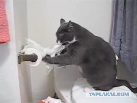 Простор для творчества