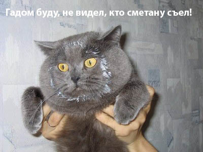 Королева Бутана