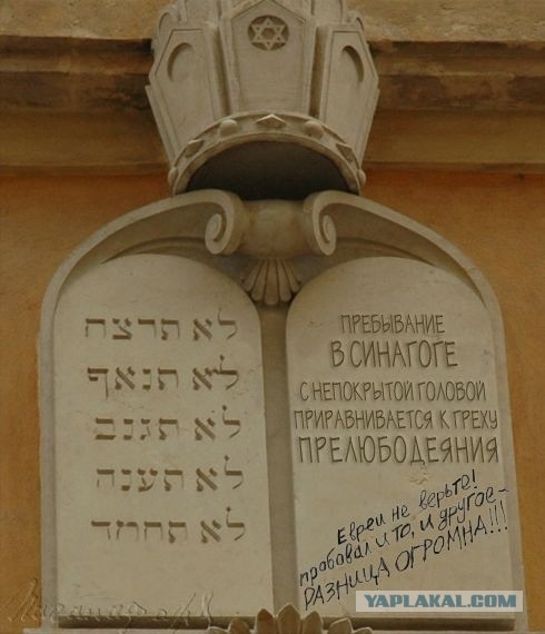 Смешные картинки