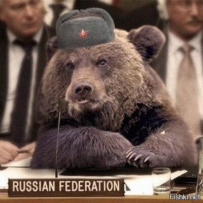 Янки гоу хом