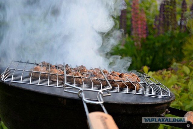 Коммунальные замУтки