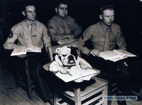 Интересные исторические снимки, которые