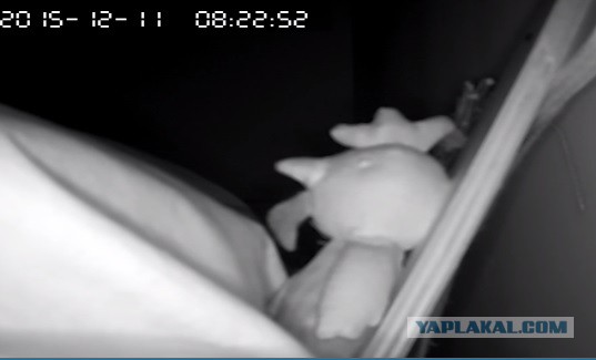 За что я люблю китайцев