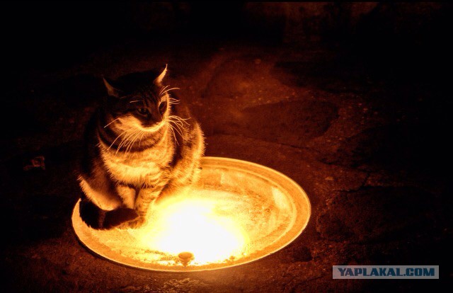 Он увидел дочь в постели с незнакомцем. И вот что он сделал!