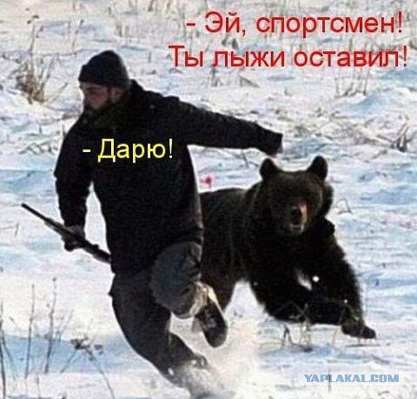Стоимость проезда мимо медведя - один пирожок